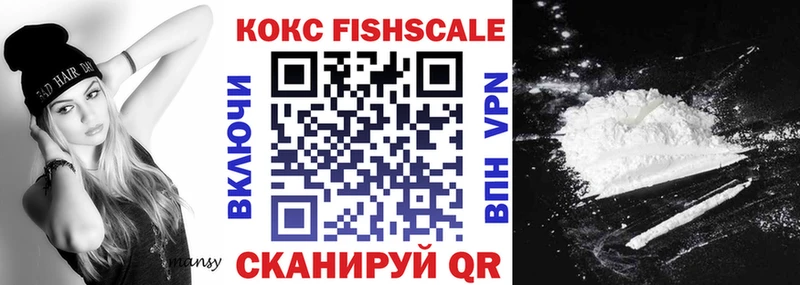 купить закладку  Циолковский  Cocaine Fish Scale 
