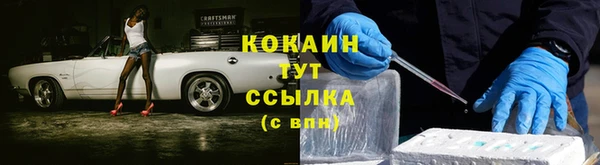 спайс Алексин